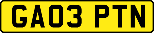GA03PTN
