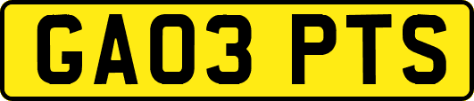 GA03PTS