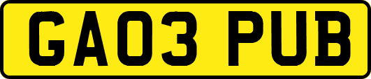 GA03PUB