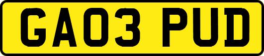 GA03PUD