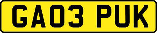 GA03PUK