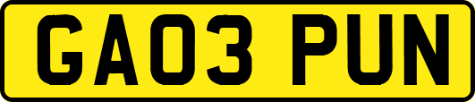 GA03PUN