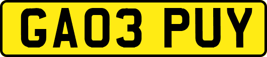 GA03PUY