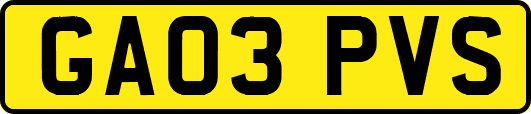 GA03PVS