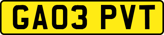 GA03PVT