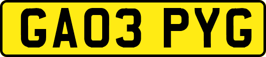 GA03PYG