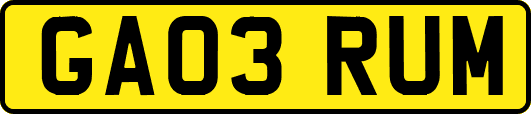 GA03RUM