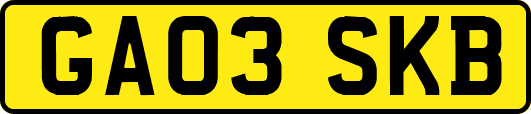 GA03SKB