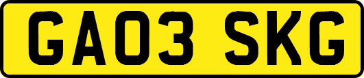 GA03SKG