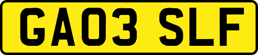 GA03SLF