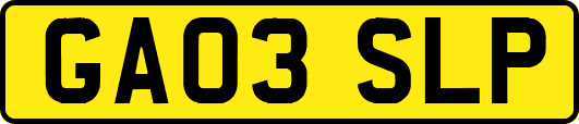 GA03SLP
