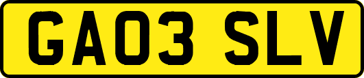 GA03SLV