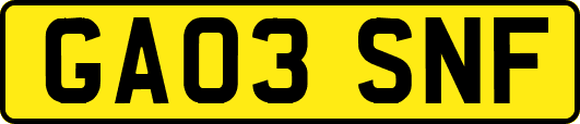 GA03SNF