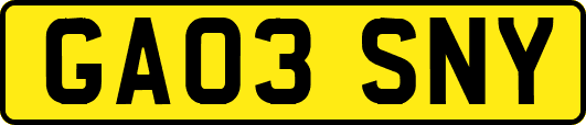 GA03SNY