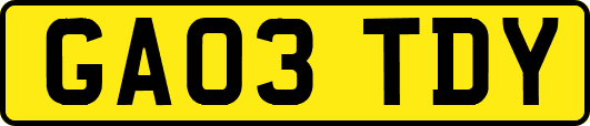 GA03TDY