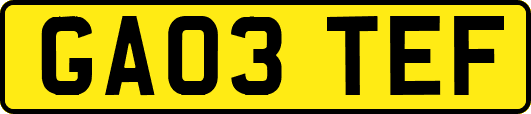 GA03TEF