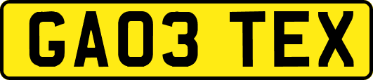 GA03TEX