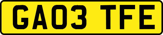 GA03TFE