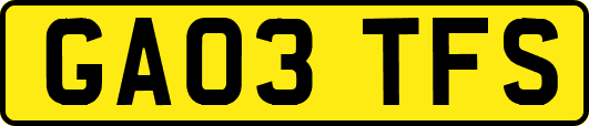 GA03TFS