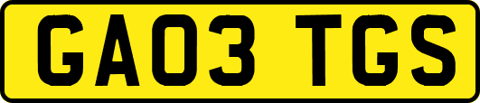 GA03TGS