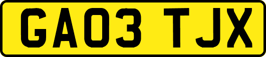 GA03TJX