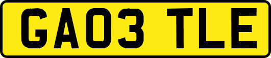 GA03TLE