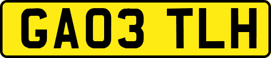 GA03TLH