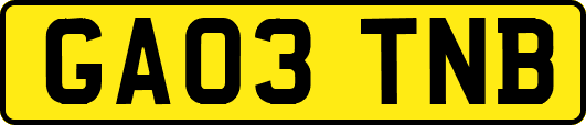 GA03TNB