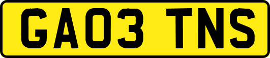 GA03TNS