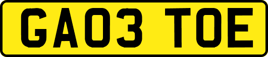 GA03TOE