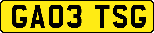 GA03TSG