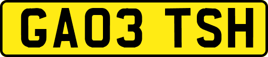 GA03TSH