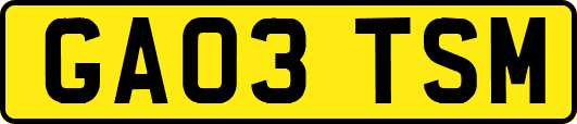 GA03TSM