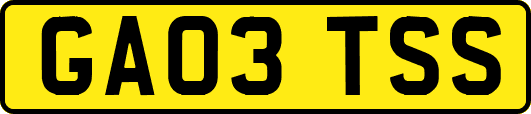 GA03TSS