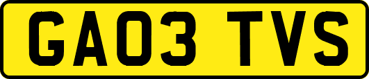 GA03TVS