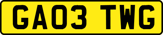 GA03TWG