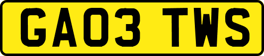 GA03TWS