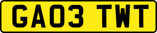 GA03TWT