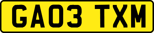 GA03TXM