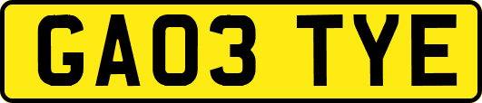 GA03TYE
