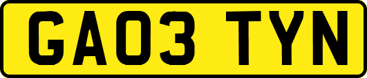 GA03TYN