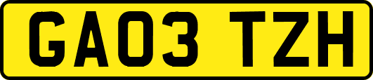 GA03TZH