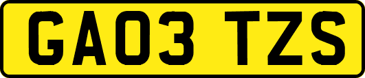 GA03TZS