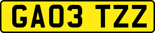 GA03TZZ