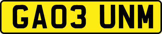 GA03UNM