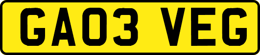 GA03VEG
