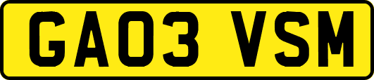 GA03VSM
