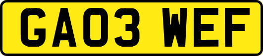 GA03WEF