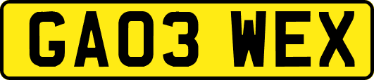 GA03WEX