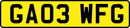 GA03WFG